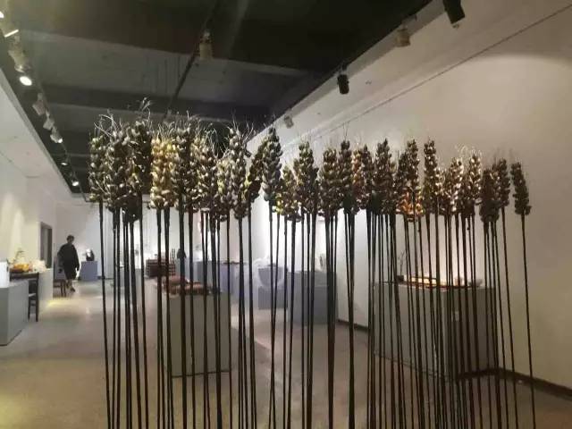 1507597645797046.jpg 7.jpg