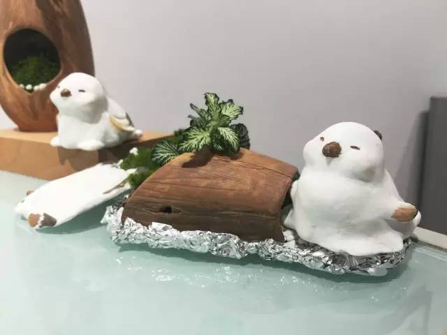 1507597885333679.jpg 29.jpg