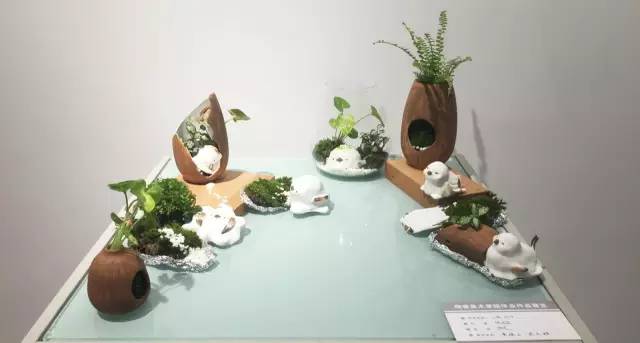 1507597888865239.jpg 30.jpg