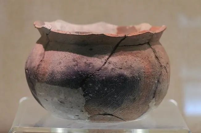 1665969152669831.jpg 1665969152669831.jpg