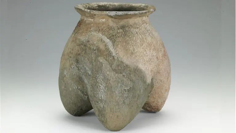 1666142885366318.jpg 1666142885366318.jpg