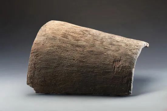 1666144472512736.jpg 1666144472512736.jpg