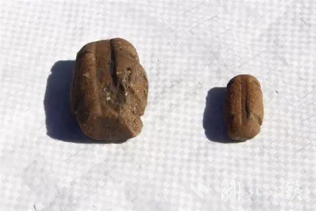 1666144599254490.jpg 1666144599254490.jpg