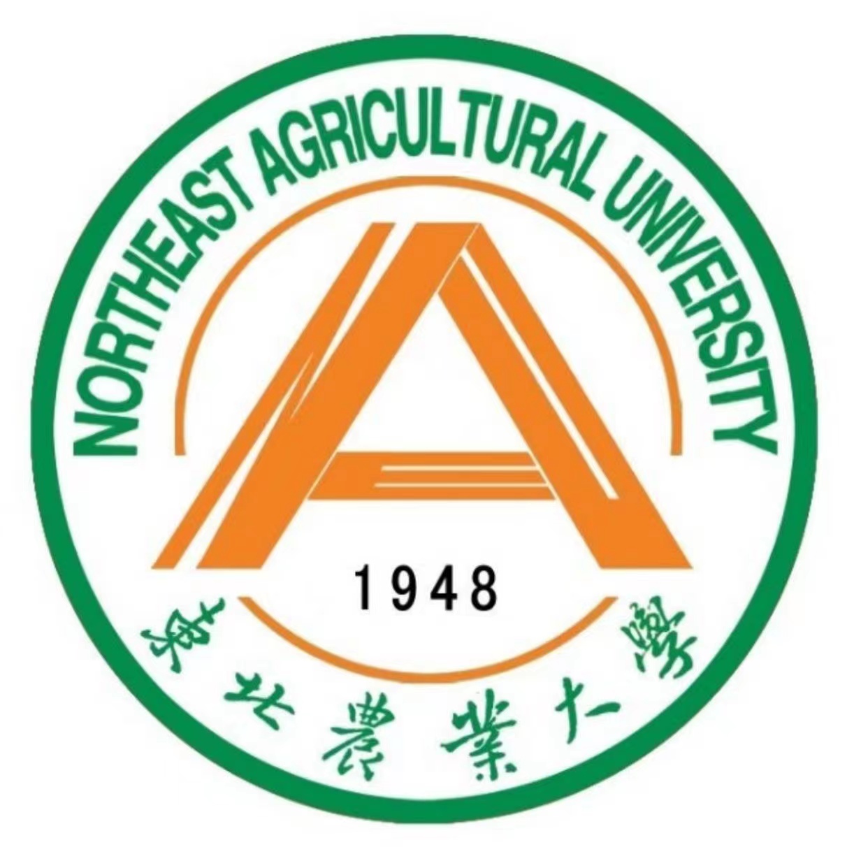 1680573894301691.jpg 1680573894301691.jpg